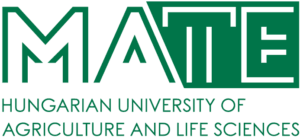 Hungarian University