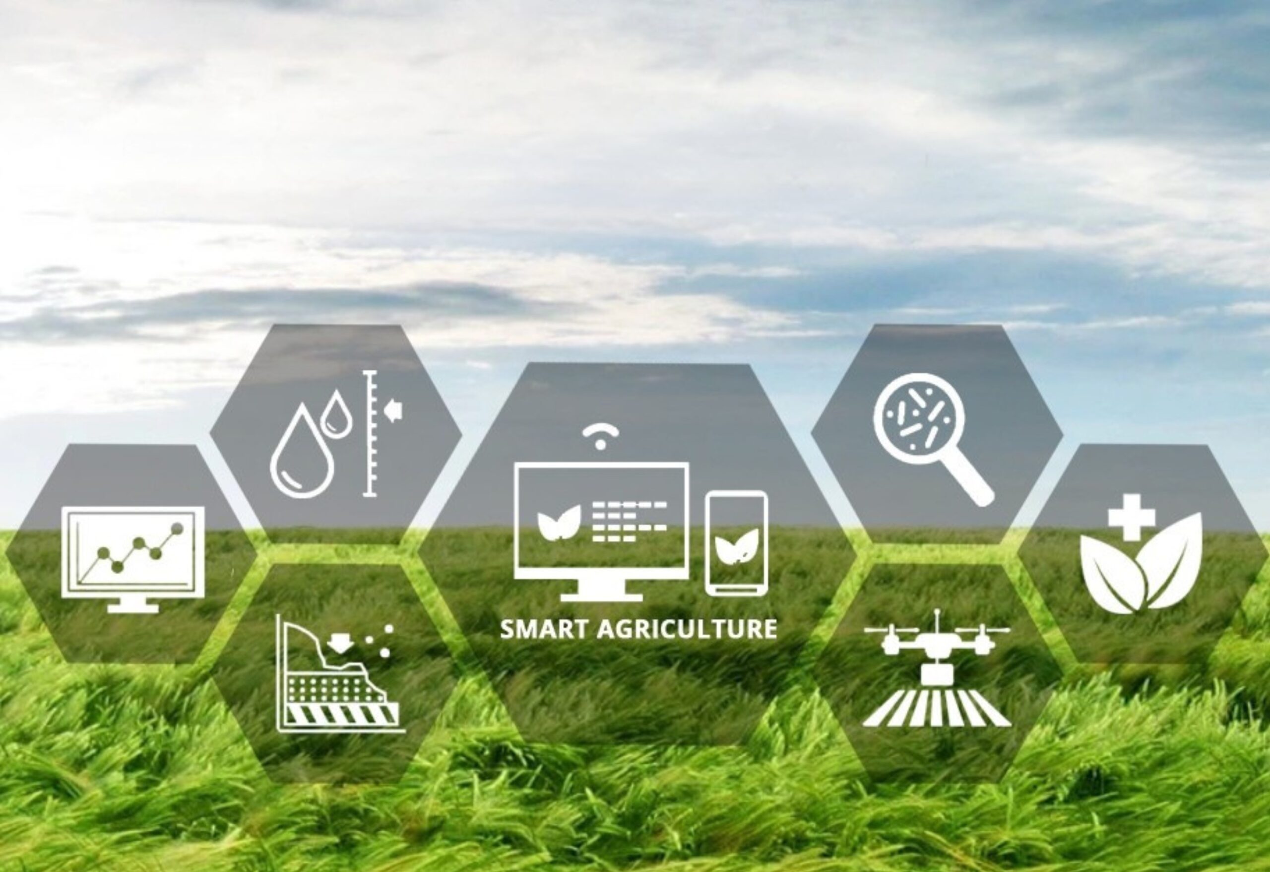 Agrihub.cz innovation network