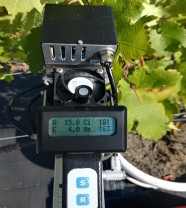 Image-based sensors appear promising for early stress identification as they display plants quickly and nondestructively, recording subtle changes in phenotypic traits. Information derived from images has the potential to parameterize ecophysiological models and predict the impact of environmental factors on plants. In this context, artificial intelligence (AI) is becoming a key factor for smart irrigation, providing sustainable solutions to viticulturists facing the challenge of increasing yields and quality while conserving water.